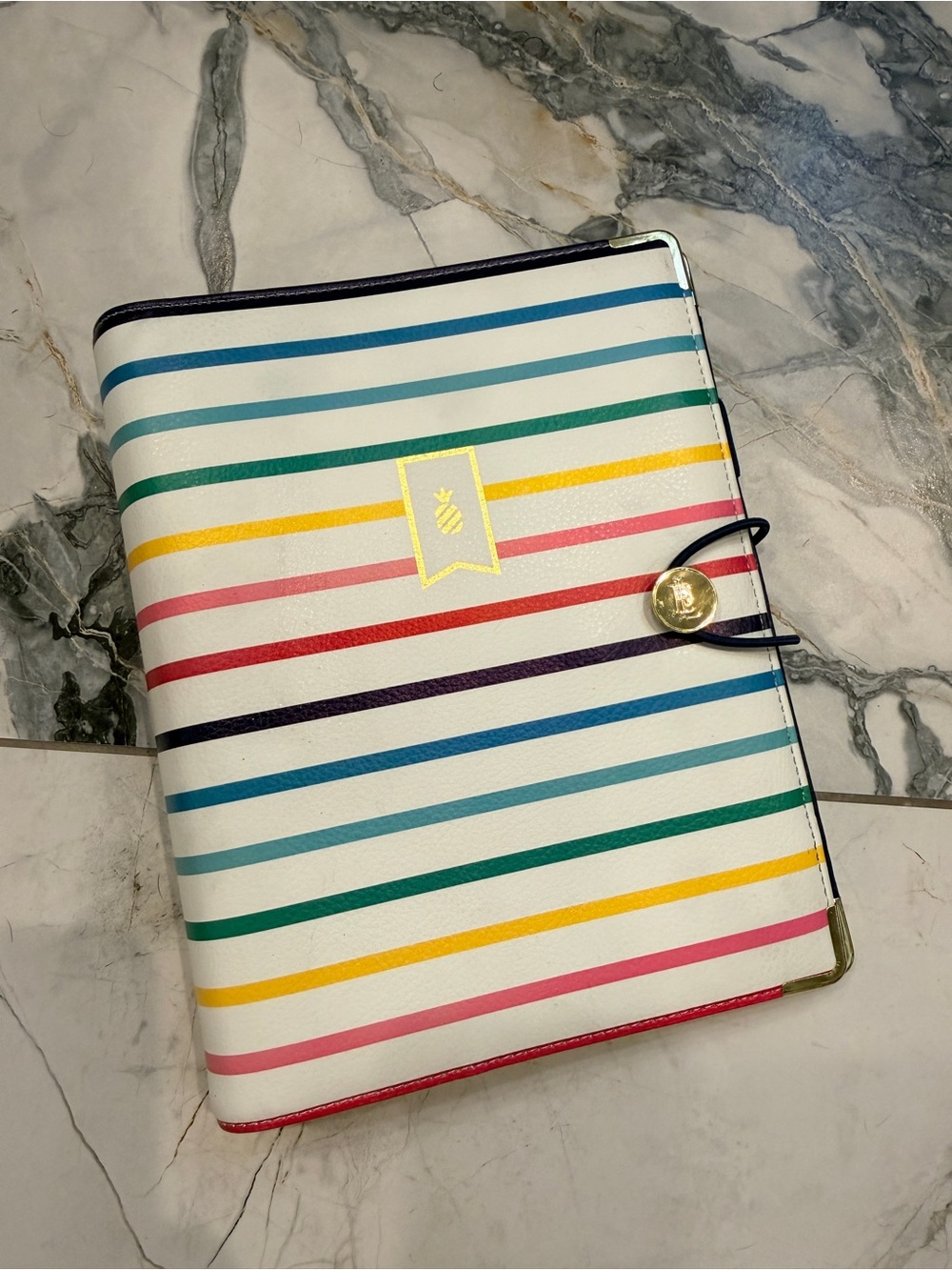 Emily Ley Simplified Planner Binder Multicolor Stripe 2016 Gold Hardware